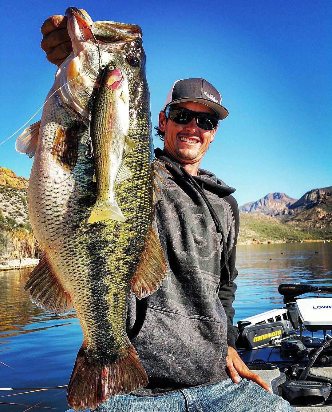 Arizona Bass Fishing Guides – Bassaholics